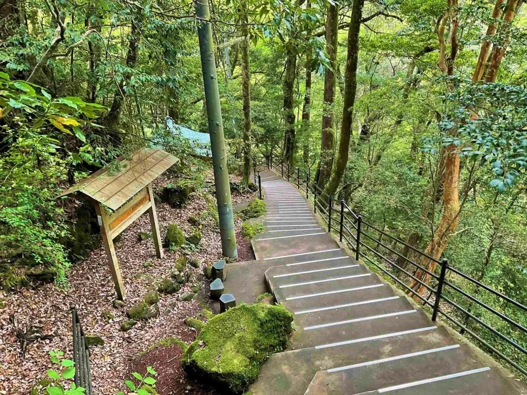 🏞️ 조렌 폭포 (浄蓮の滝) 이미지 8